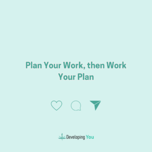 plan your work then work your plan